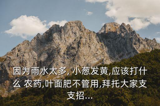 因為雨水太多, 小蔥發黃,應該打什么 農藥,葉面肥不管用,拜托大家支支招...