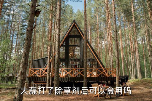 蒜打了農(nóng)藥什么時(shí)候能吃,下午打農(nóng)藥什么時(shí)候最適合