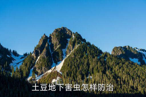 馬鈴薯用什么農藥治蟲子