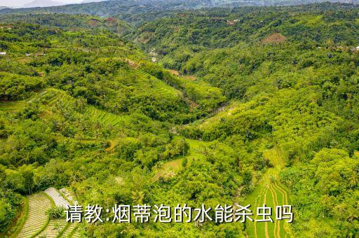 煙葉治蟲用什么農(nóng)藥,治地下蟲什么農(nóng)藥最好