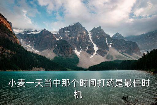  小麥一天當中那個時間打藥是最佳時機