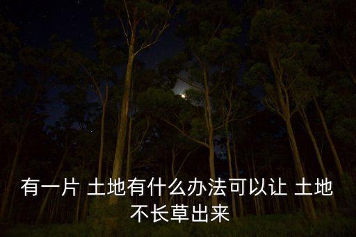 有一片 土地有什么辦法可以讓 土地 不長草出來