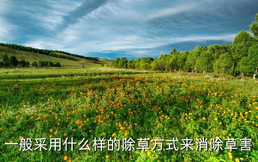 現代農藥可以做什么用藥