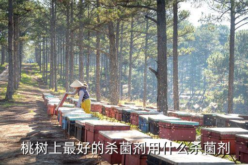  桃樹上最好的殺菌劑用什么殺菌劑