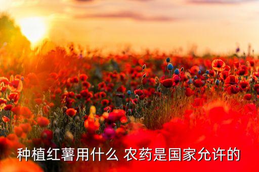 種植紅薯用什么 農藥是國家允許的