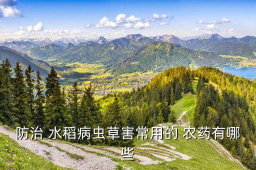 ,水稻可以發酵成什么農藥