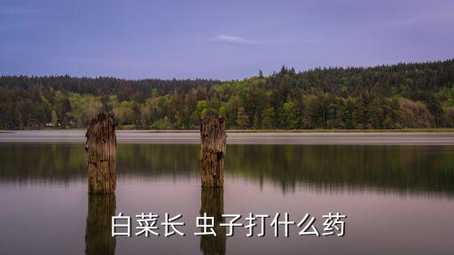 菊酯類農(nóng)藥殺什么蟲子