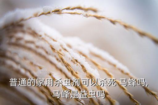 普通的家用殺蟲(chóng)劑可以殺死 馬蜂嗎,馬峰是益蟲(chóng)嗎