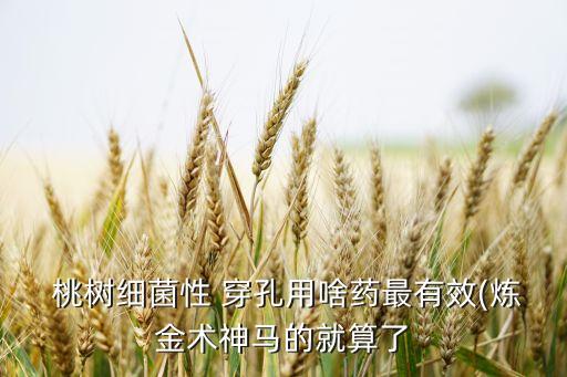 桃樹穿孔打什么農藥管用,桃樹葉穿孔什么原因
