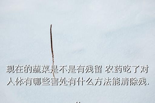現(xiàn)在的蔬菜是不是有殘留 農(nóng)藥吃了對(duì)人體有哪些害處有什么方法能清除殘...
