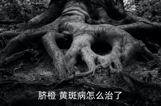 黃斑病用什么農藥啊,指點黃斑病用什么農藥好