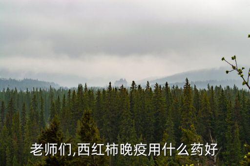玉米伴侶農藥成分是什么,銀發利農藥是什么成分