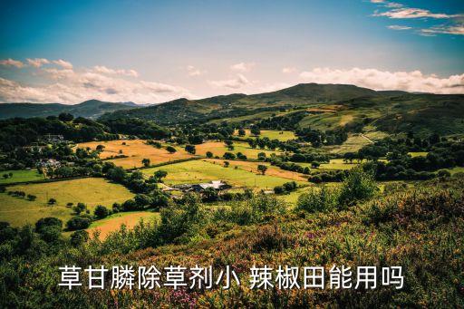 辣椒苗為什么不讓打農藥