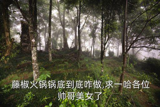 藤椒可以打什么農(nóng)藥