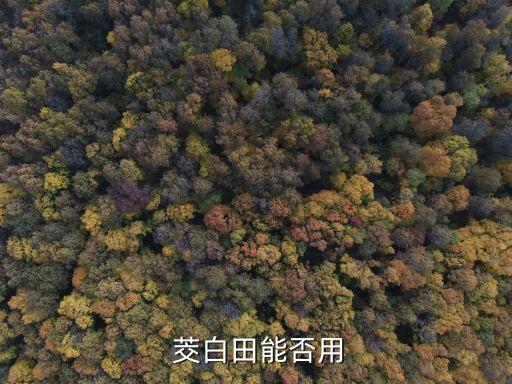 茭白噴什么農(nóng)藥防蟲