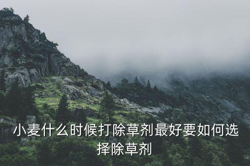 辦小麥種用什么農(nóng)藥,小麥過年農(nóng)藥什么時間打