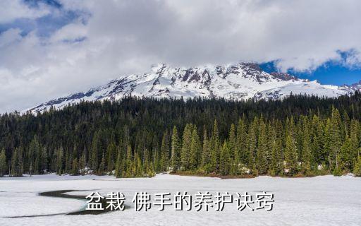 佛手柑用什么農藥好,送佛手柑什么意思