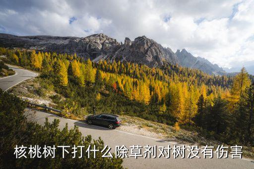  核桃樹下打什么除草劑對樹沒有傷害