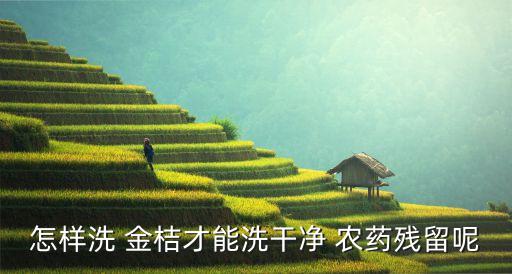 小金桔用什么替代的農藥,金桔樹打什么農藥