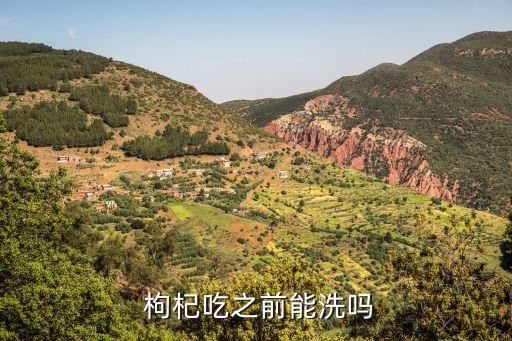  枸杞吃之前能洗嗎