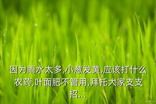 因為雨水太多,小蔥發黃,應該打什么 農藥,葉面肥不管用,拜托大家支支招...
