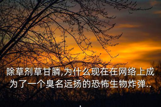 小飛蓬用什么農藥