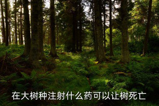 在大樹(shù)種注射什么藥可以讓樹(shù)死亡