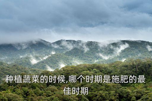 種植蔬菜的時候,哪個時期是施肥的最佳時期