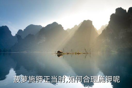  菠蘿施鉀正當(dāng)時(shí),如何合理施鉀呢