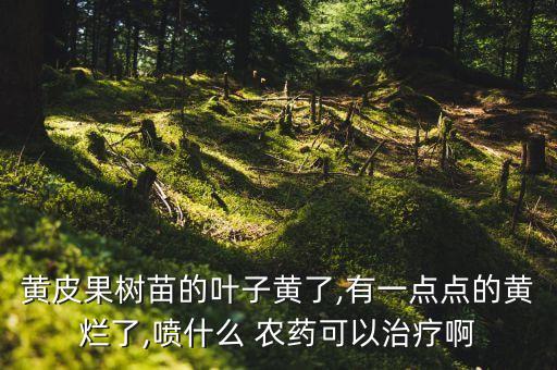黃皮果樹苗的葉子黃了,有一點點的黃爛了,噴什么 農藥可以治療啊