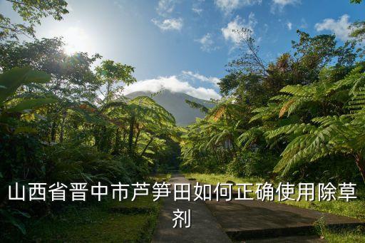 山西省晉中市蘆筍田如何正確使用除草劑