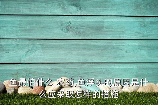 什么農藥會毒死魚,一點點農藥會毒死魚嗎