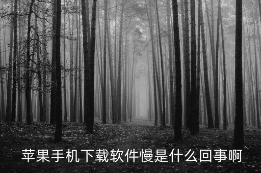  蘋果手機下載軟件慢是什么回事啊