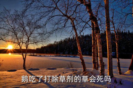,鵝吃什么農(nóng)藥會慢性死亡