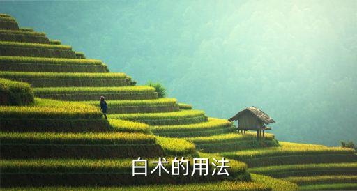 白術中藥材忌什么農藥,中藥材白術治什么病