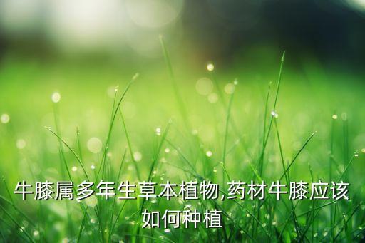 青優(yōu)控是什么農(nóng)藥,最好的控旺農(nóng)藥是什么