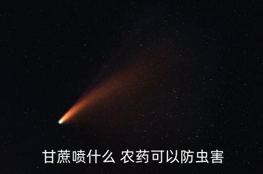  甘蔗噴什么 農(nóng)藥可以防蟲害