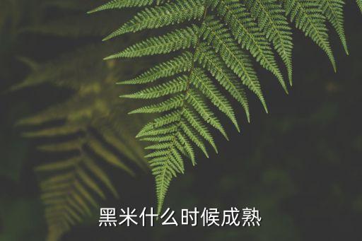 農藥福戈的功效是什么