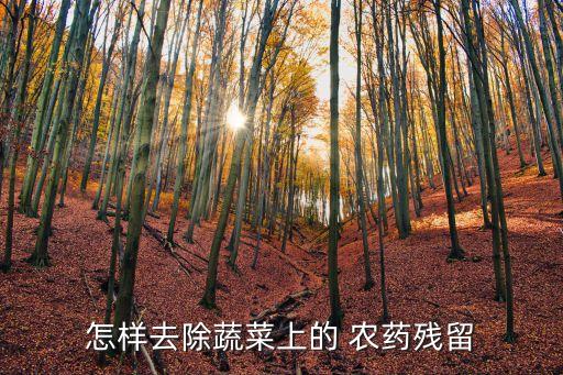 666粉是什么農藥,農藥大消是什么