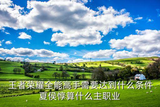 王者農藥開船的英雄是什么,王者榮耀里開船的是什么英雄