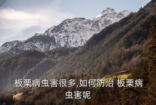板栗適合什么農(nóng)藥,板栗樹適合種在什么地方