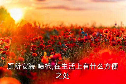 廁所安裝 噴槍,在生活上有什么方便之處