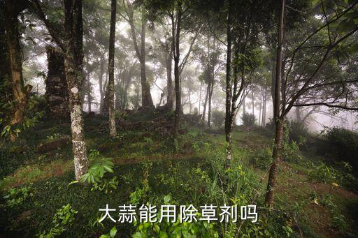 大蒜能用除草劑嗎