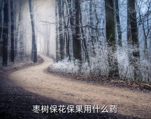 棗樹保花保果用什么藥