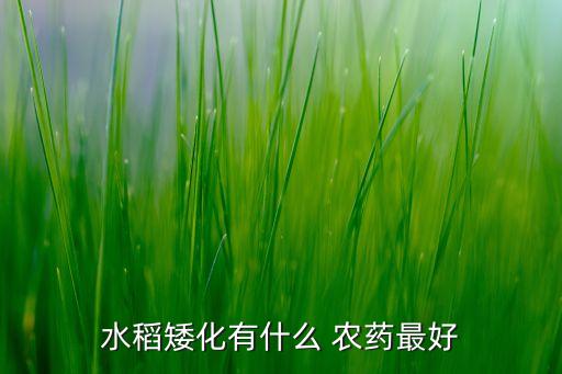 龍眼現在噴什么農藥好,龍眼殺梢用什么農藥