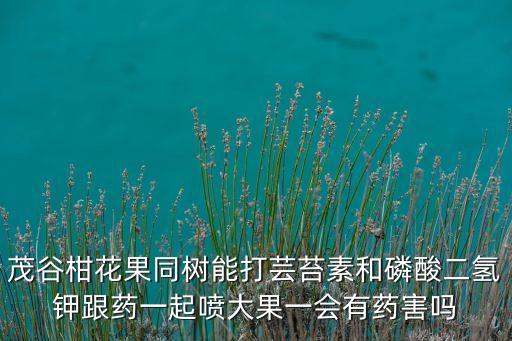 什么農藥可以朋大果的