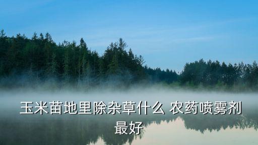  玉米苗地里除雜草什么 農(nóng)藥噴霧劑最好