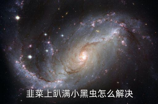  韭菜上趴滿小黑蟲怎么解決
