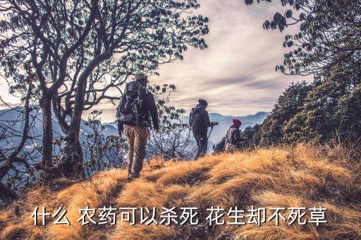 花生用什么農(nóng)藥根除,什么農(nóng)藥能殺死花生