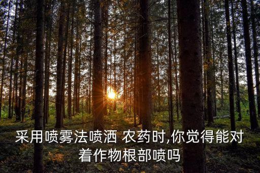 采用噴霧法噴灑 農藥時,你覺得能對著作物根部噴嗎